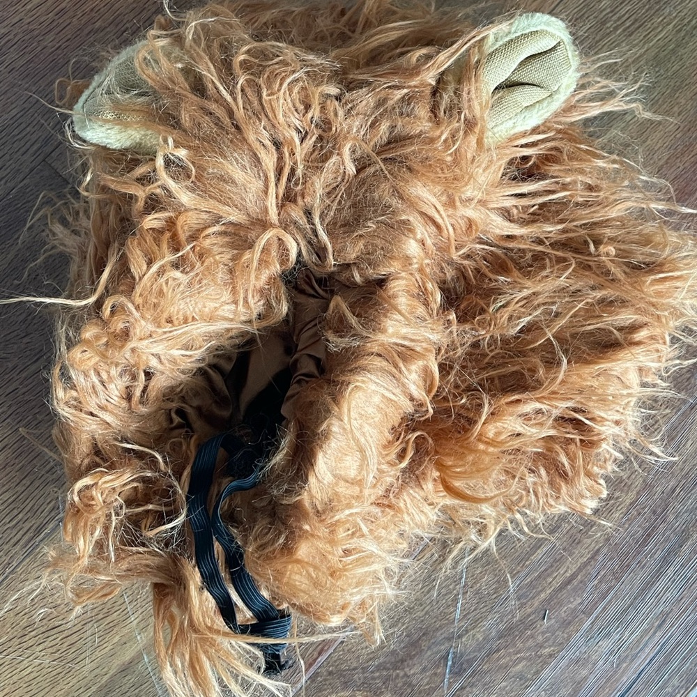 Lion 🦁 Costume for Dogs 🐶